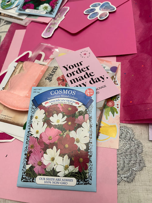 Snail Mail monthly subscription